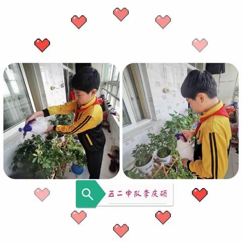 2020不一样的植树节