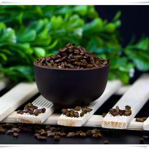 决明子茶