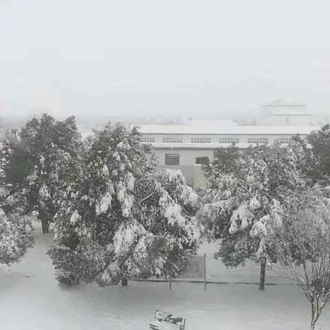 三5班我们快乐的大集体