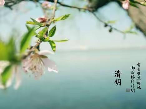 我们的节日·清明——河西二幼分园（原河西十四幼）文明新风、绿色清明活动