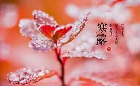 风凉迎寒露  秋山色更浓——济南市莱芜实验幼儿园“寒露”节气活动