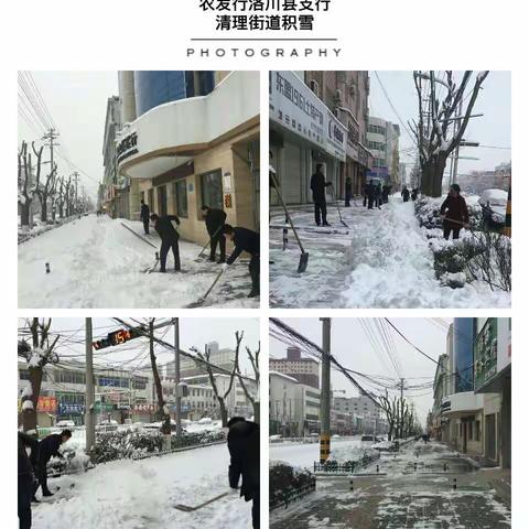 喜迎瑞雪兆丰年 齐心协力清积雪