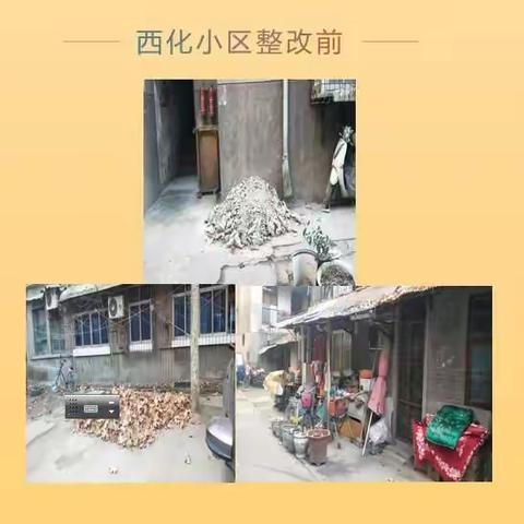 化工坊社区开展环境卫生整治工作