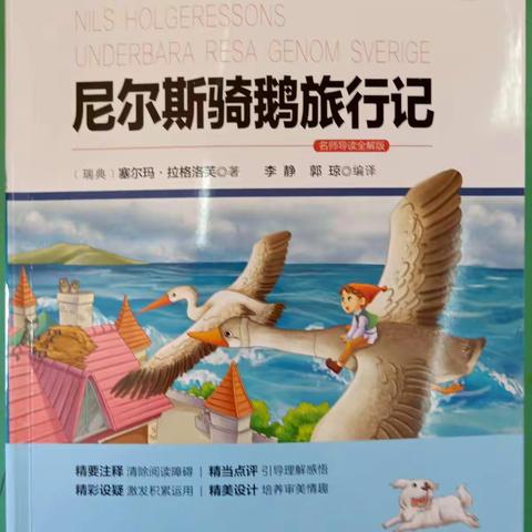 丰县创新外国语六(16)班"趣读童书，与经典同行″总结。