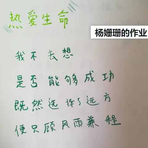 看看我们的作业有多棒！孩子们的字字句句都是用心的书写，认真的学习