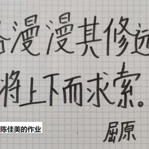 11月作业欣赏 总校初一2班和Fondo 初一年级