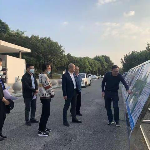 市城市管理和综合执法局张国宏局长率队到深圳湾公园调研望海路快速化改造工程占用绿地情况