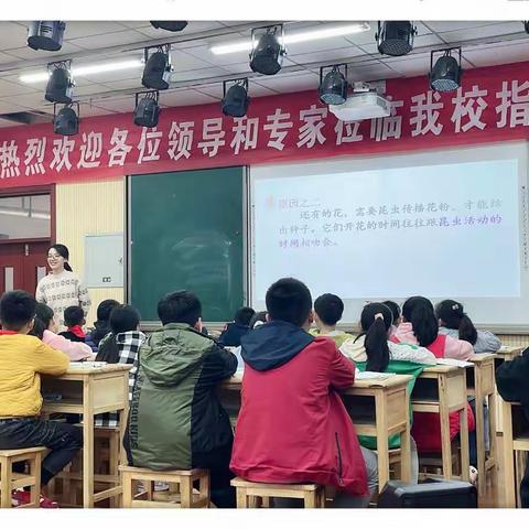 行走教研路 静待花开时——记沛县实验小学东校区语文教研活动