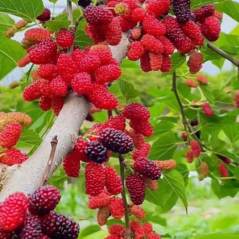 当金钱向我招手时