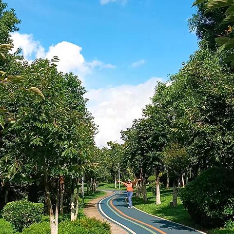 何谓“信息超载句”