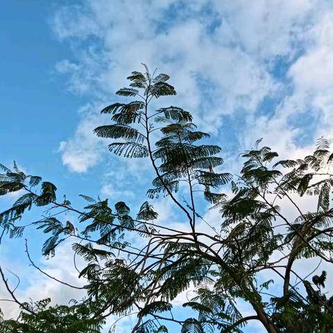 我让弟弟三次溺水