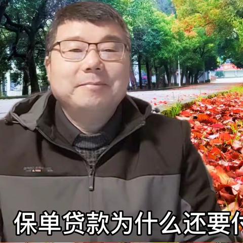 保单贷款为什么还要付利息？