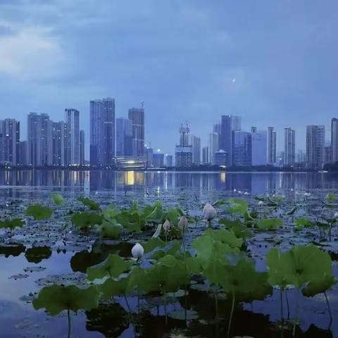 走走身边的风景