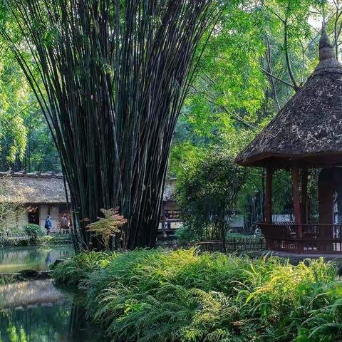 成都杜甫草堂一游