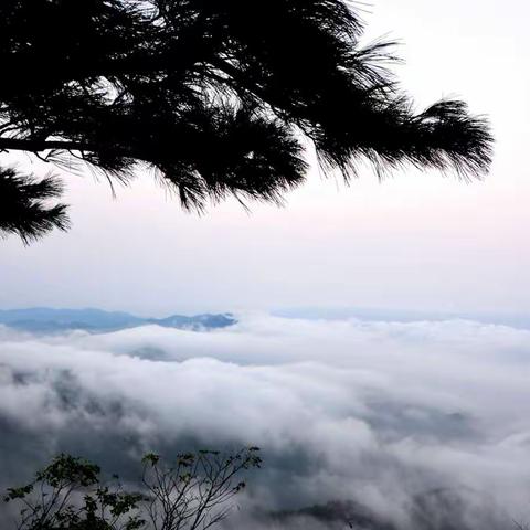 信阳鸡公山观云海