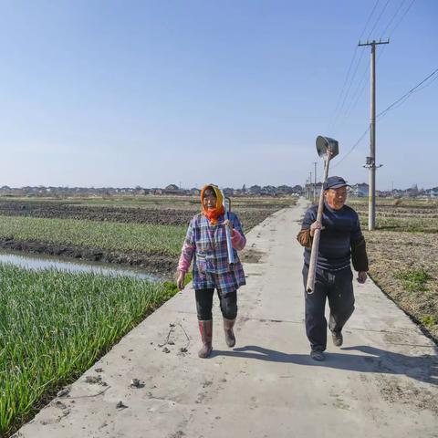 【小年随拍】顶能香葱基地人物一组