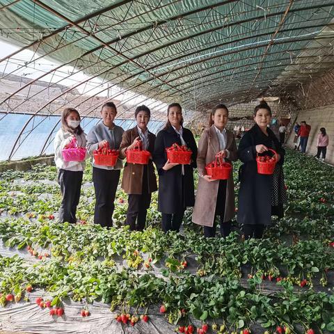 “芳华三月天 温情女神节”——农发行阿克陶县支行“女神节”快乐采摘活动