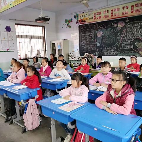 五年级多彩校园生活