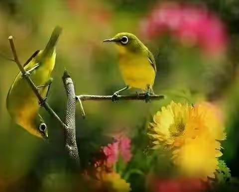 🍂️🍂️🍂️金玉良言🍂️🍂️🍂️