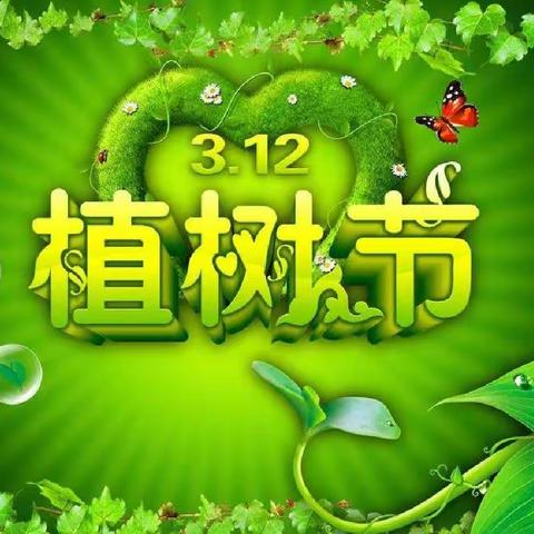 五星街道南留幼儿园大班植树节主题活动《3.12植出一片绿色的梦》