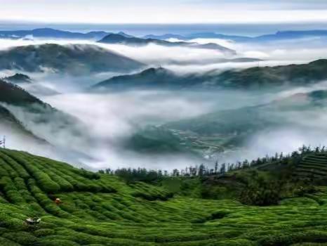 义乌6月30号两天一夜游