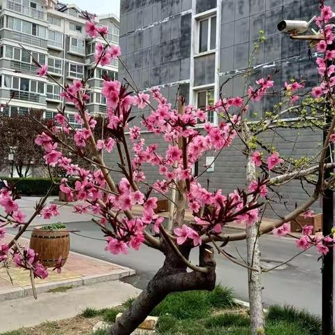 “心照不宣   只为伊乐”✨（住校生的专属）