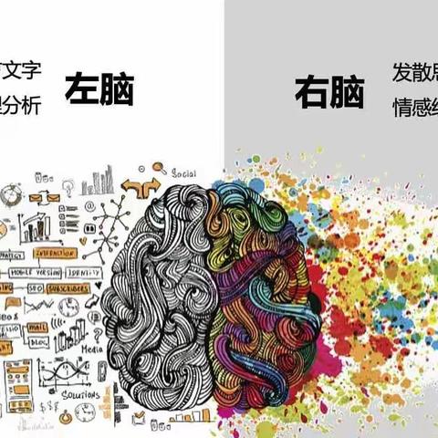 认识大脑  再学识字