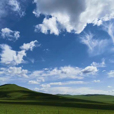 快乐的暑假生活