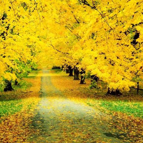 凝心聚力，砥砺前行——在集体备课中悄然成长