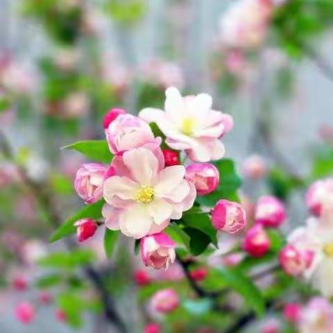 合力研讨通佳径 精准施策再起航————2021届高考二轮复习政治组备考研讨会