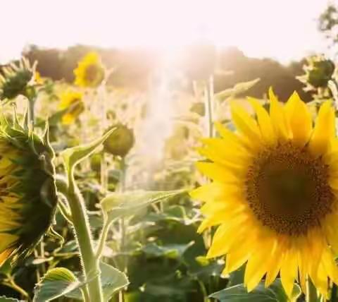 行走在追求完美的希望中——丰城中学首届“希沃杯”青年教师“一体机”应用教学大赛政治组开赛