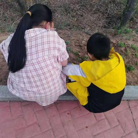 《五一快乐》         山西省忻州宁武县实验小学、三年级、三班、李乘霞