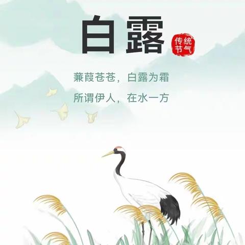 秋风凉   白露生---西华县人和路小学举行“二十四节气-白露”红领巾讲解大赛