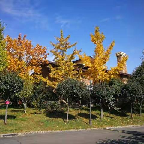 万紫千红总是秋