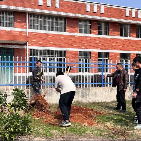 冷水滩区伊塘镇学校：春暖花开好时节，植树护绿正当时