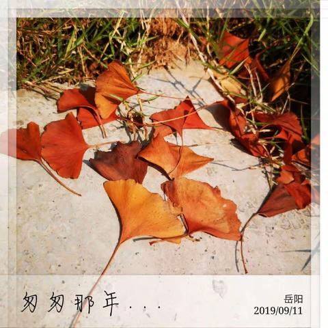 辉的美篇