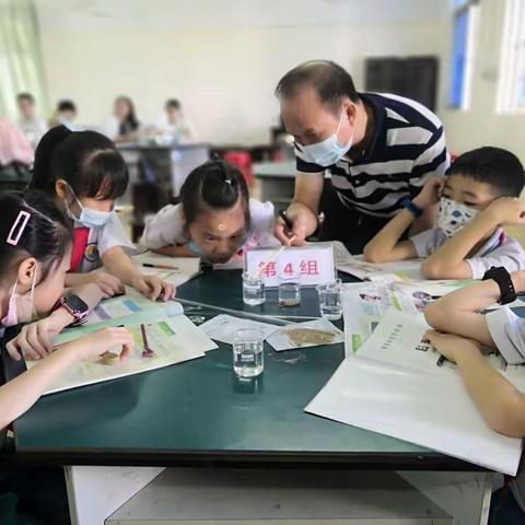 智慧科学课，精彩又缤纷——儋州市小学科学课堂教学评比活动