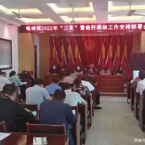 嵯峨镇“三夏”暨秸秆禁烧工作安排部署会