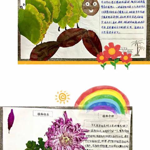 收获秋天，美在身边—竹林关镇中心小学植物标本粘贴画展示活动