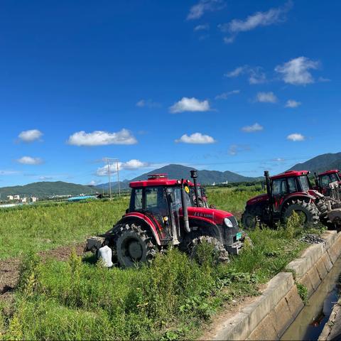 抗疫期间南繁基地绿肥沃土工程稳步推进