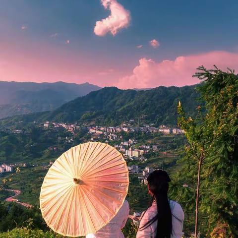 茶乡邓村 我又来了！