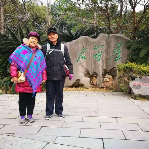 游芦笛岩