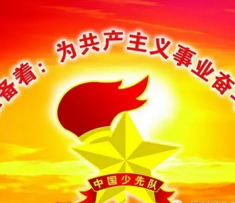 金沙镇九年制学校少工委成立暨第一届少代会