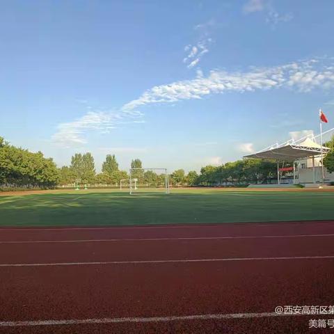 教以共进，研以致远，赛以促教—高新区第三十九小学“目标教学 有效课堂”赛教评优活动剪影