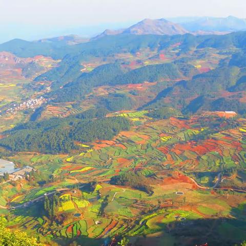 路在脚下——登楼山-东山林场徒步小记