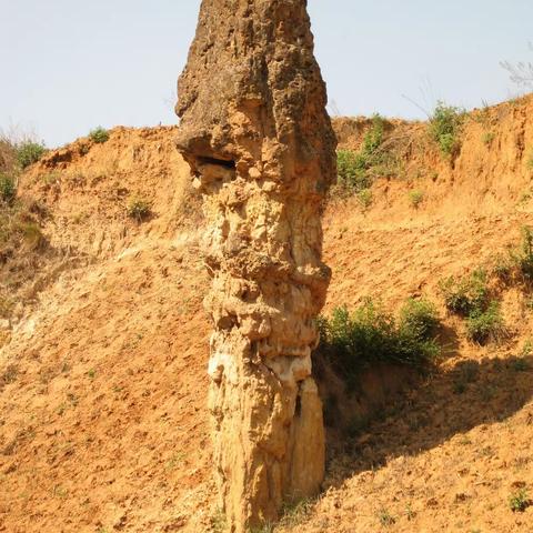 宁州最忆是土林