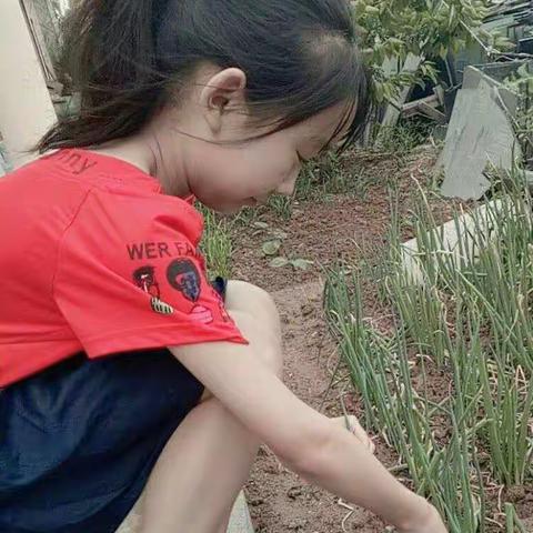 我和蔬菜交朋友