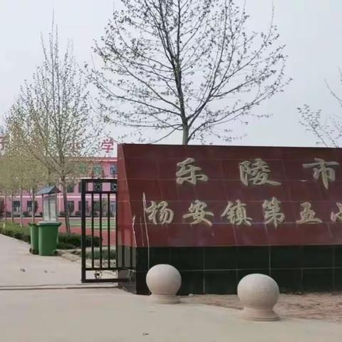 杨安镇杠子李小学召开开学第一课安全主题班会