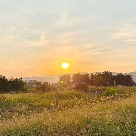 夏日的味道之暑假