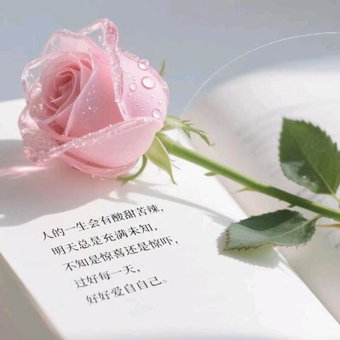 雨中的疼痛与温暖